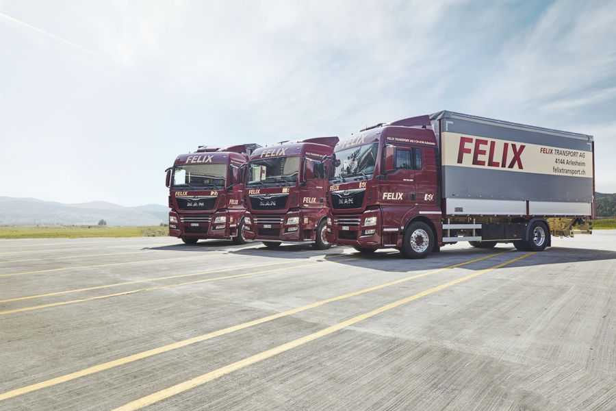 Felix Transport AG