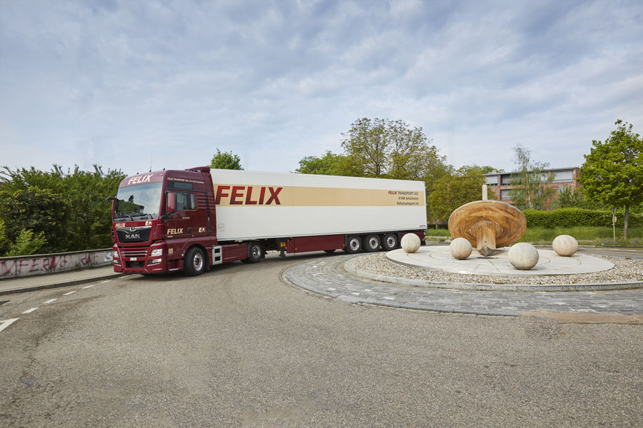 Felix Transport AG